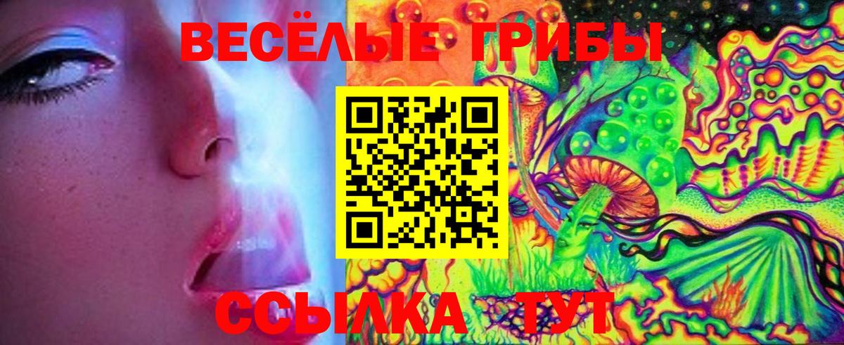 Псилоцибиновые грибы Psilocybe  Вход с VPN  Псилоцибиновые грибы Psilocybine cubensis  закладки  Фрязино 